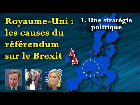 Royaume Uni : les causes du référendum - Une stratégie politique (1ere partie)