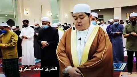 # تلاوه مرئيه للقارئ #محمد شكري ارح مسمعك و اكتب شيء تؤجر عليه🌹✋ثوان من وقتك تعطيك الكثير