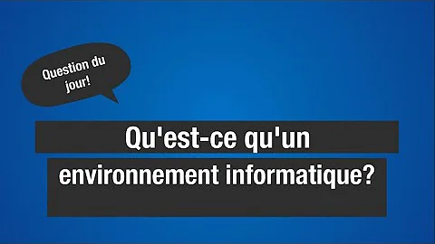 Comment Appelle-t-on l'apparence que prend une personne dans un environnement informatique ?