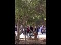 بالفيديو ما جرى أمس في جامعة آل البيت  صراحة نيوز