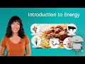 Energy Essentials: Exploring Work and Its Sources