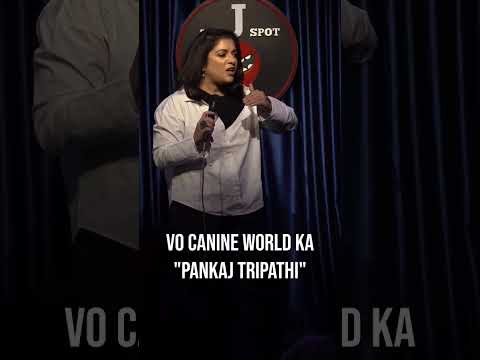 K for Kutta K for Kontent - #standupcomedy