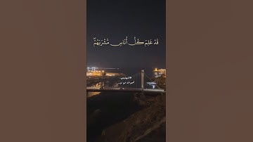 روائع الخمسينات مع الشيخ البهتيمي سورة البقرة #اكسبلور #المصحف #حالات_واتس #تيك_توك