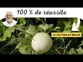 Ma méthode pour réussir la culture du melon