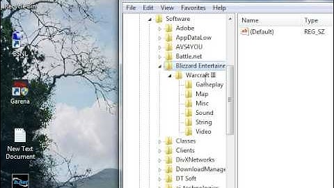 Fixing Registry error loading key Warcraft III InstallPath