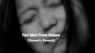 Teri Meri Prem Kahani [Slowed+Reverb] - Rahat Fateh Ali Khan, Shreya Ghoshal | Hafij Khan