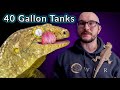 Top 5 Reptiles That Can Live In A 40 Gallon Enclosure FOREVER