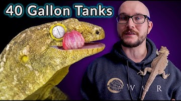Top 5 Reptiles That Can Live In A 40 Gallon Enclosure FOREVER