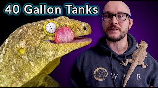 Top 5 Reptiles That Can Live In A 40 Gallon Enclosure FOREVER