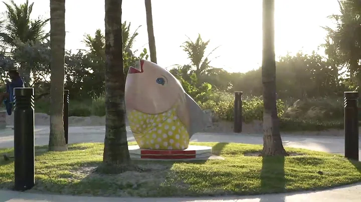 Live Beach Cam - Early Morning at Pompano Beach