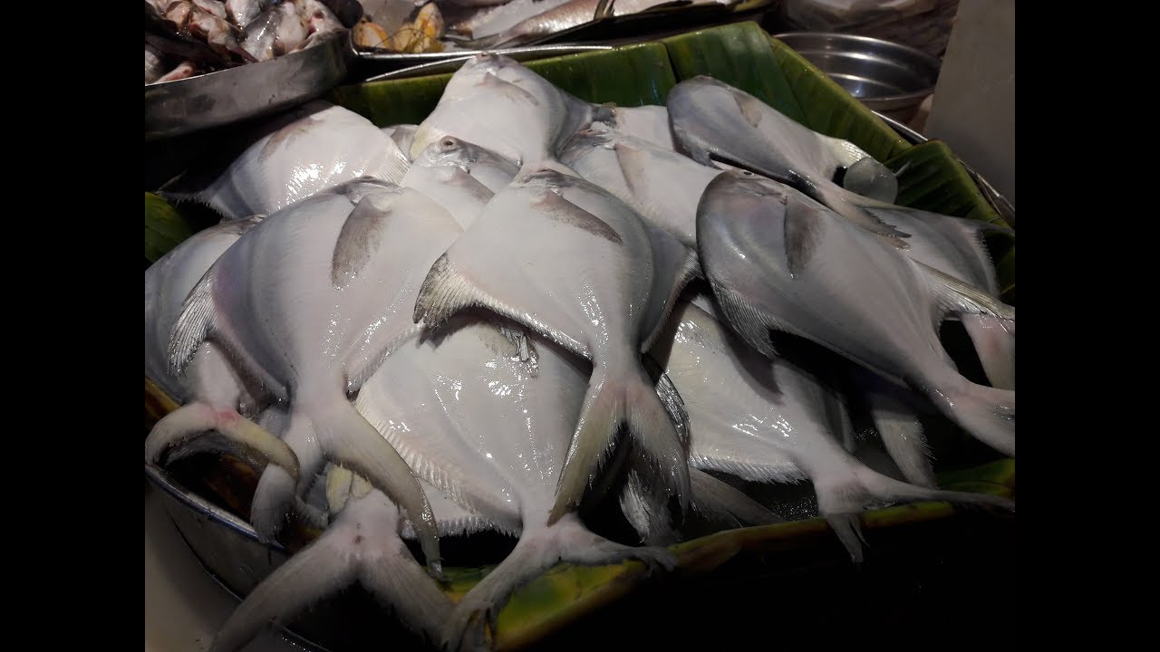 MANICKTALA FISH MARKET, KOLKATA YouTube