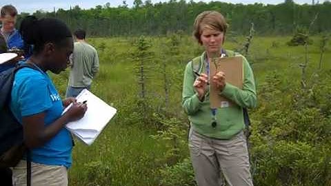 Field Botany of Northern Michigan