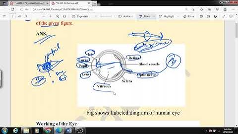 SCIENCE MODEL PAPER CLASS 8TH DISCUSSION P1 JKBOSE
