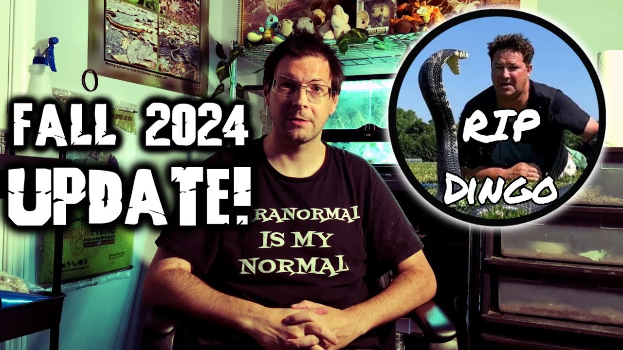 Remembering Dingo Dinkelman & Fall 2024 UPDATE - YouTube