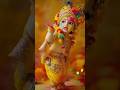 Krishna bhagwan Khel rahe hain Holi #pyar #cartoon #funny