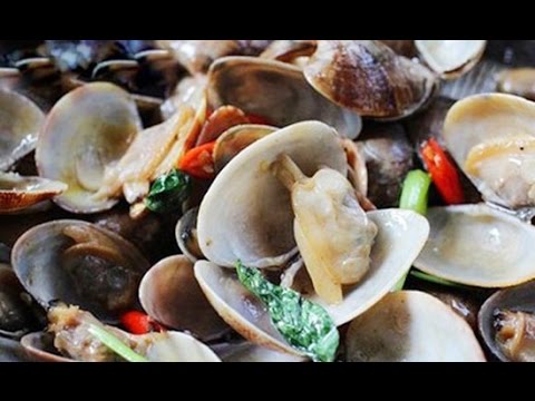 Video Món Ngao Xào Húng Quế - youtube