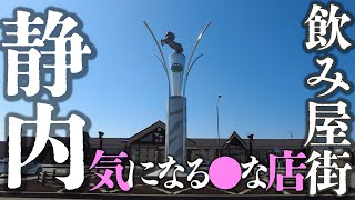 【北海道】新ひだか町静内駅周辺～飲み屋街で気になる●な店が…【散策】Exploring  Shizunai Town / Hokkaido Japan