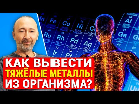 Video: Автотрофтор жана Гетеротрофтор: Экосистемада алардын ролу