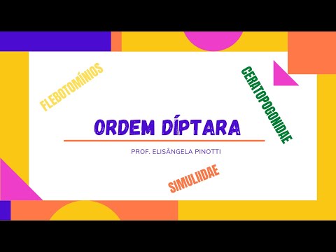 Vídeo: Díptera é uma ordem?