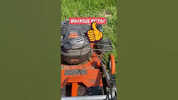 Вас замучили кроты и землеройки? ВЫХОД ЕСТЬ ✅