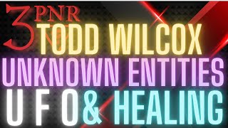 #121 Todd Wilcox Unknown Entities UFOs and healing