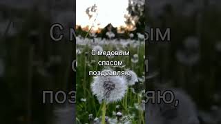 С медовым спасом!#shorts #доброеутро #пожелания