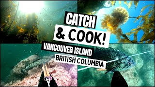 Spearfishing In Canada 2022 (British Columbia)