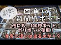 種まきした苗を、ポット上げしました！色々なポットに植えて、生育の違いを観察していきたいと思います。