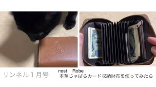 【雑誌付録】リンネル１月号nest  Robe本革じゃばらカード収納財布を使ってみたら…最高でした