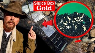 Sluice Box Gold  Gold Panning #askjeffwilliams