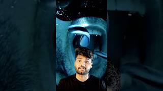इस छोटी fish को Shark भी नहीं खाती 🦈