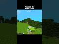 Minecraft Cutest moments in Actions &amp; Stuff