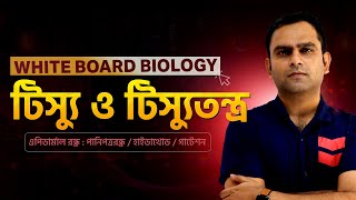 13. এপিডার্মাল রন্ধ্র : পানিপত্ররন্ধ্র / হাইডাথোড / গাটেশন | Biology Haters