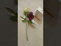#fybviralvideo#foryou#foryoupage#shortvideo#hilights2025