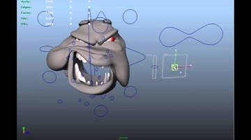 DogSquashStretchRigTest