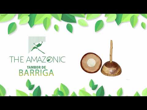 51   Tabor de barriga