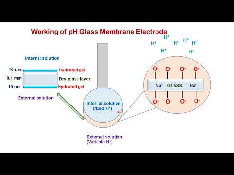 pH glass membrane electrode