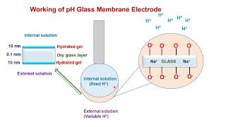 pH glass membrane electrode