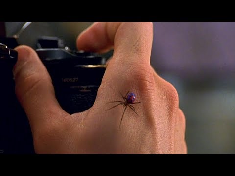 Spider-Man - Peter Parker Gets Bitten By Spider / School Field Trip Scene