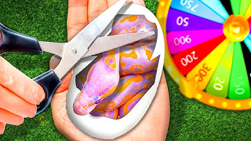 Spin The Wheel Open The Snake Egg!