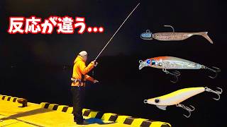 今日のメバル、何が正解？いろいろ試した結果…