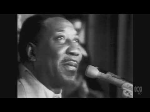 Muddy Waters - Garbage Man - LIVE in Sydney 1973 [FIXED AUDIO]
