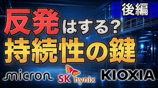 Will Micron, SK Hynix, and Kioxia Stocks Recover? Has AI Capital Expenditure Overreached? [Part 2]