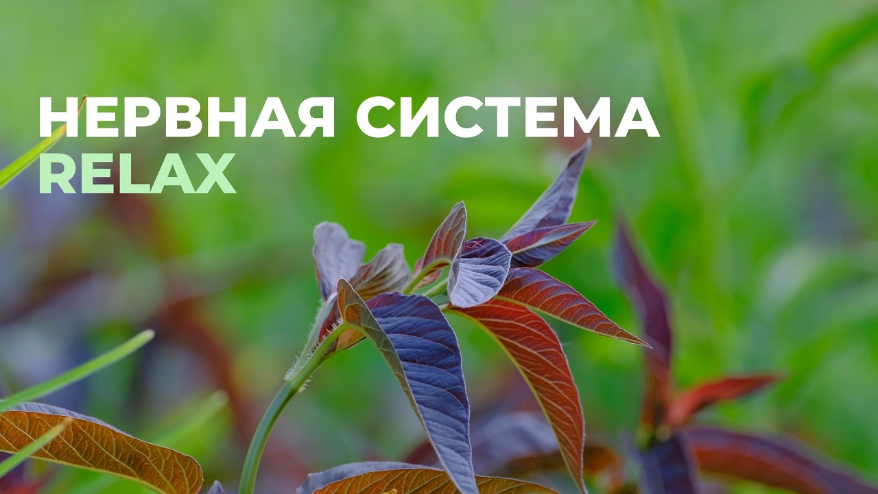 Исцеление нервной системы. RELAX версия. Скрытые аффирмации. Саблиминал.