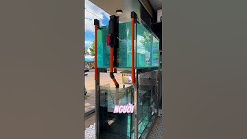 Cách biến hồ cá thành hồ công nghệ #aquagold #aquascape #cacanhthuysinh #aquarium #phukiencacanh