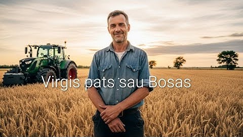 Virgis pats sau Bosas