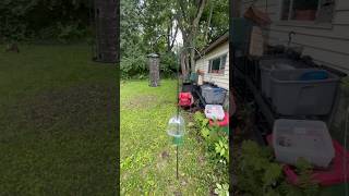 $3 DIY Squirrel Baffle!