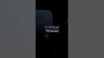 سورة الكوثر القارئ عبد الرحمن مسعد😴 #قرآن_كريم