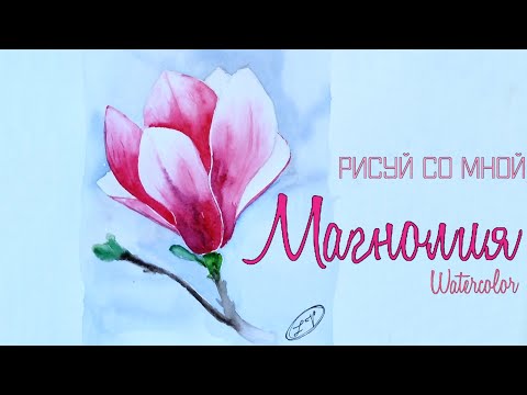 Как нарисовать магнолию. Все объясню, все покажу 😉 [РИСУЙ СО МНОЙ]