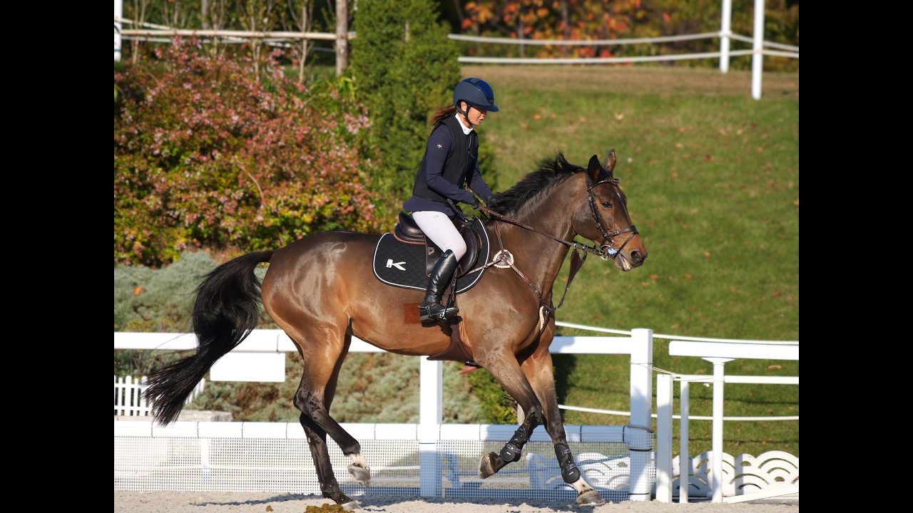 第77回全日本障馬術大会2025 PartⅠ Keira